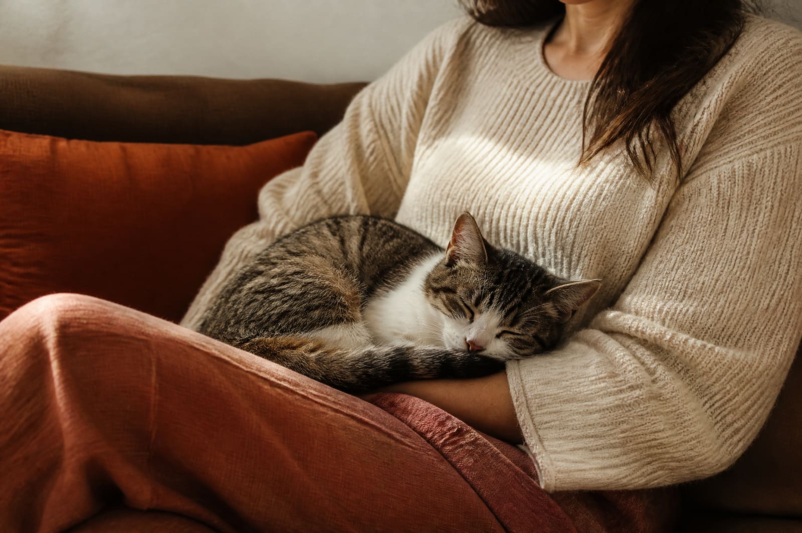 Complicité avec un animal